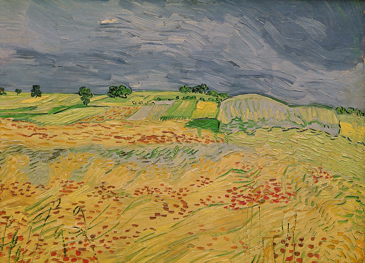 Planície em Auvers, 1890 de Vincent van Gogh