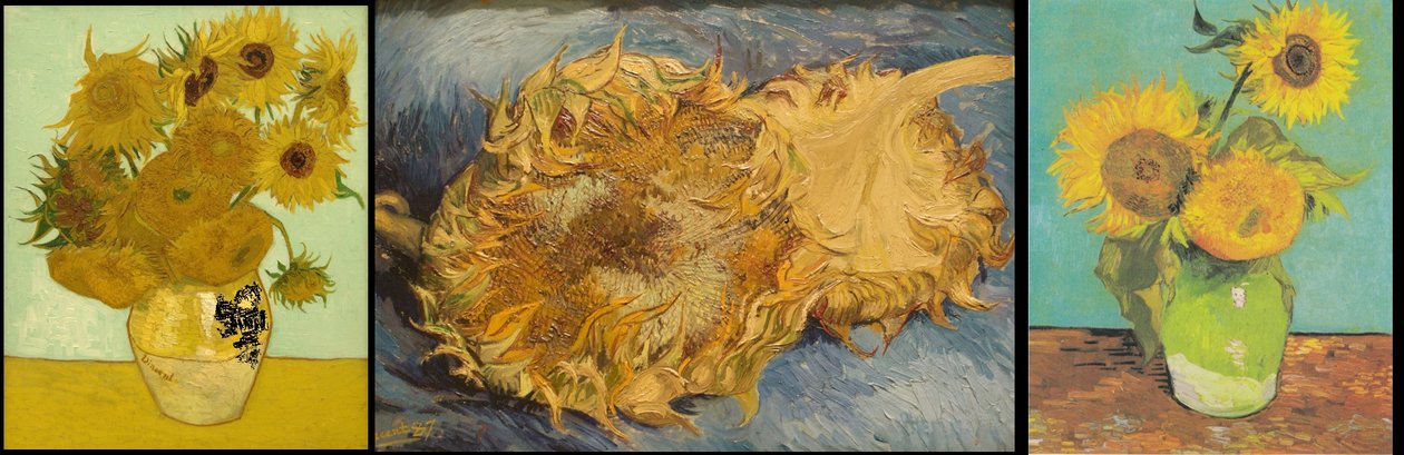 Ainda vida com 12 girassóis de Vincent van Gogh