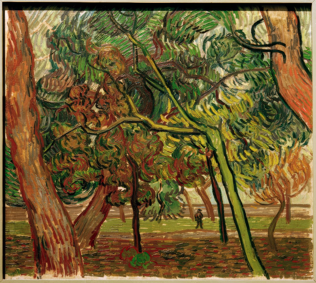 Estude com abetos vermelhos no outono de Vincent van Gogh