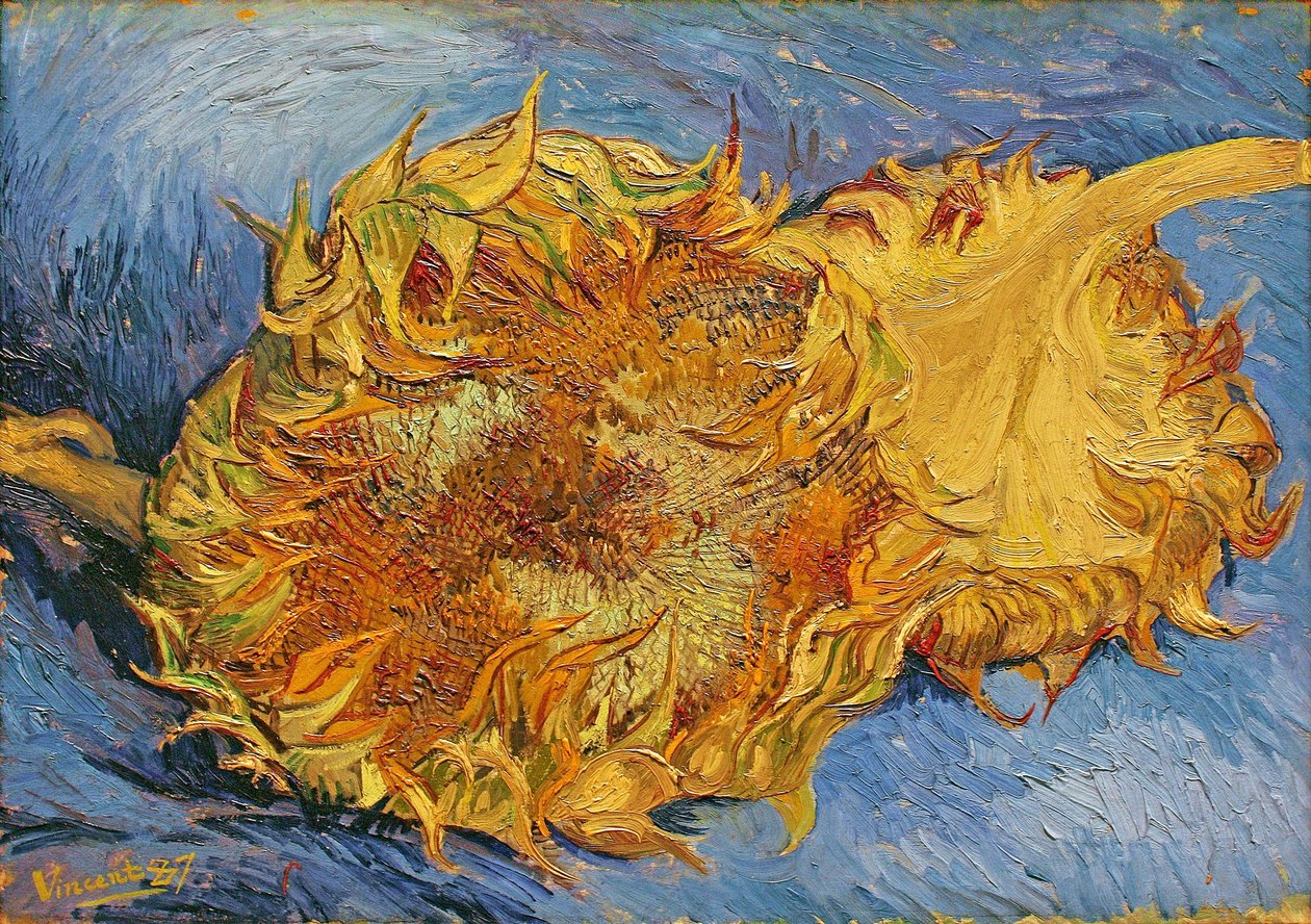 Dois girassóis cortados de Vincent van Gogh