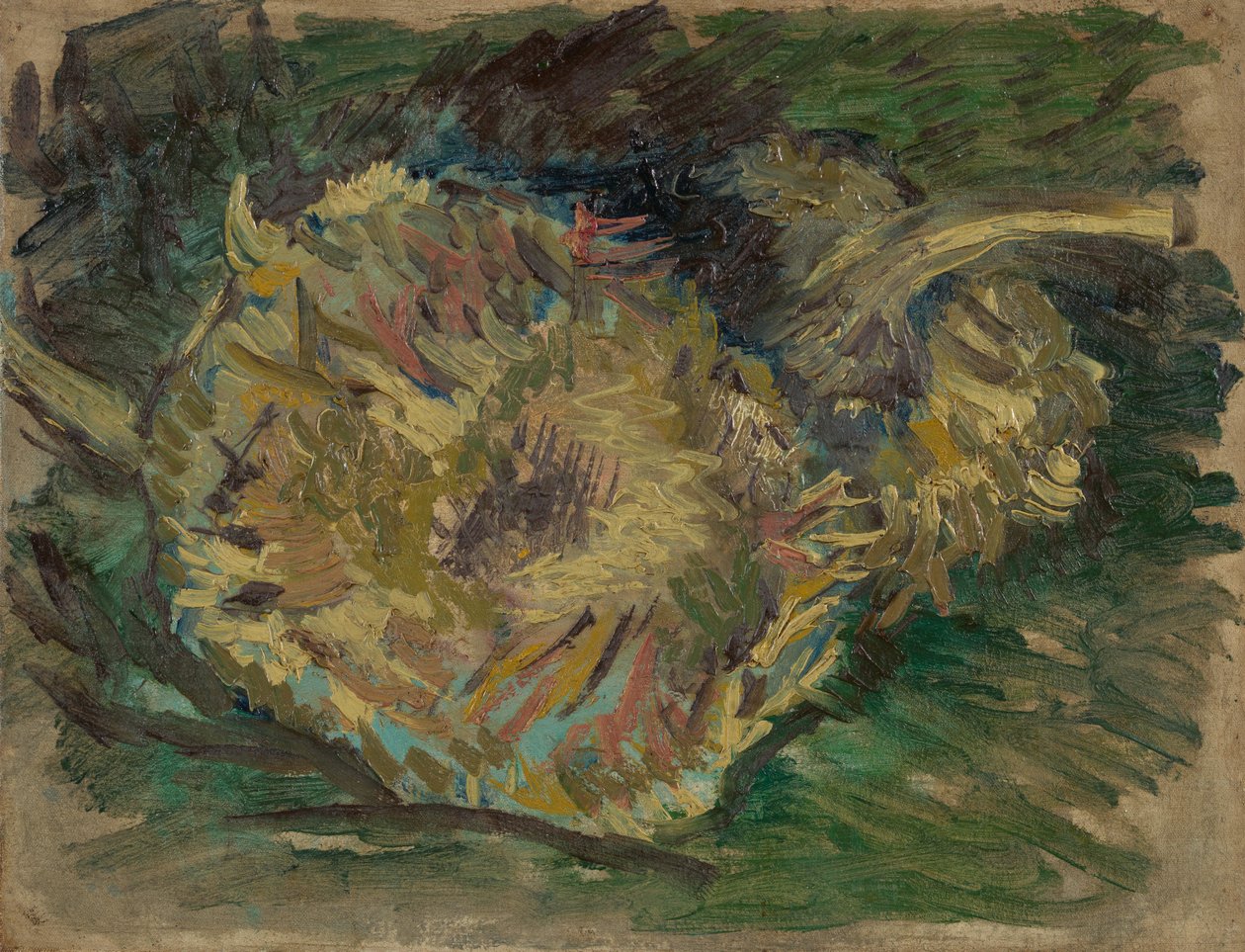 Girassóis, semeados de Vincent van Gogh