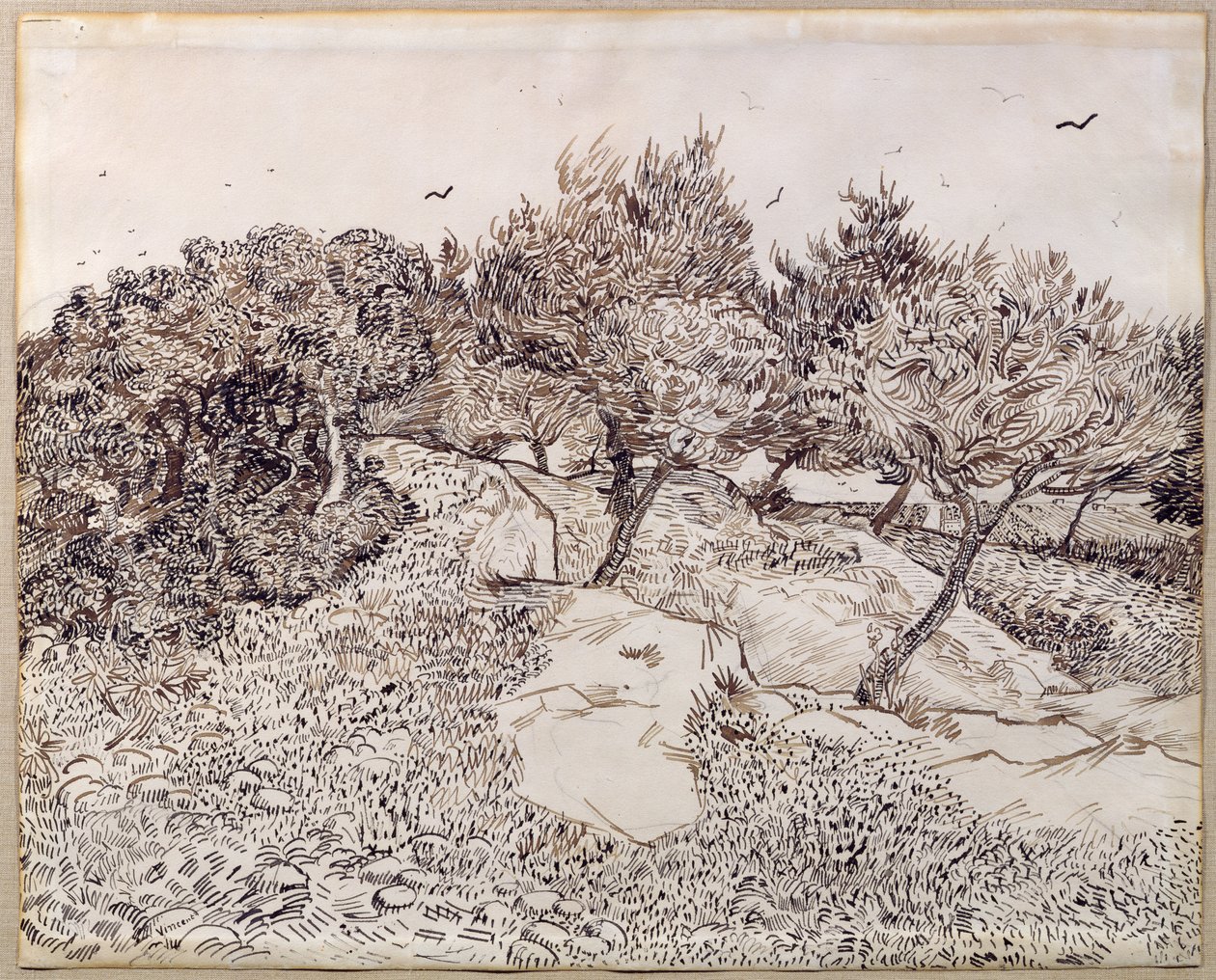 As oliveiras de Vincent van Gogh