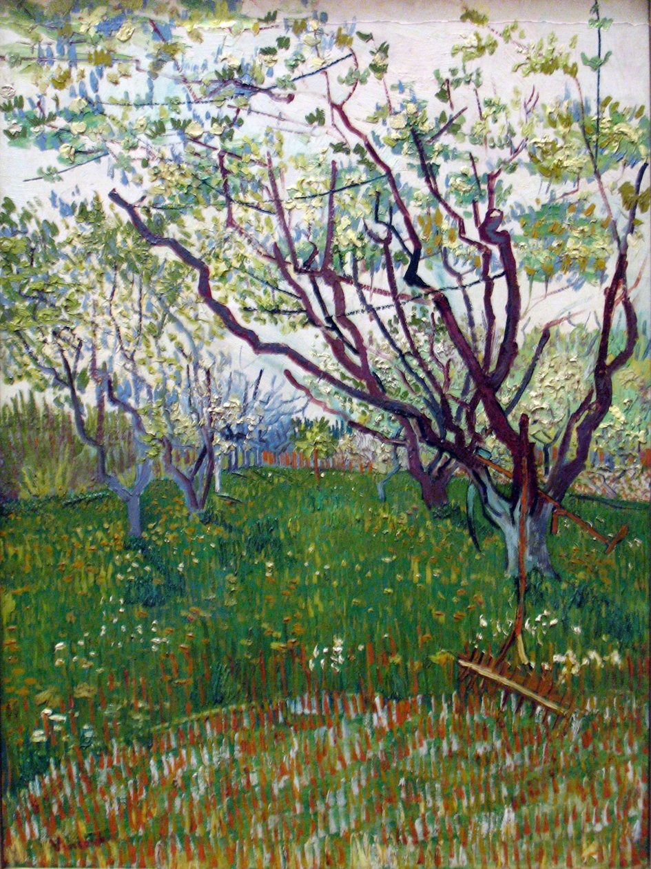 O pomar de floração de Vincent van Gogh