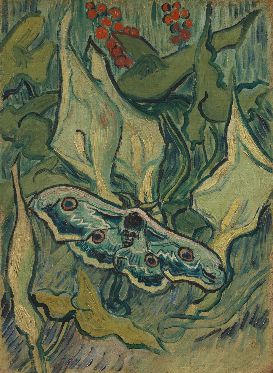 Totenkopfschwärmer na Arum de Vincent van Gogh
