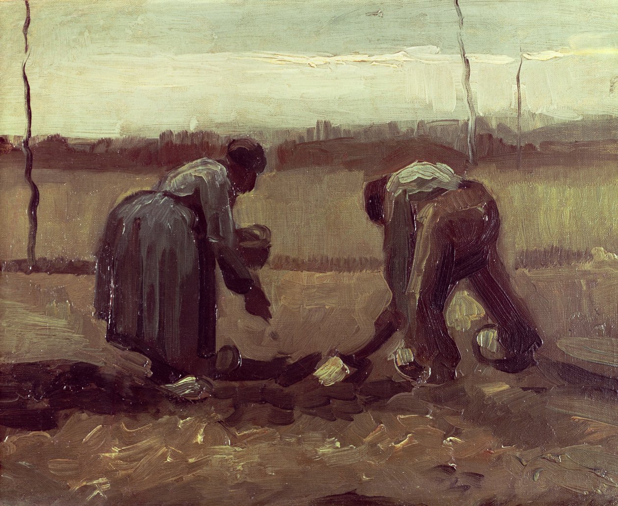 Dois camponeses plantando batatas, 1885 de Vincent van Gogh