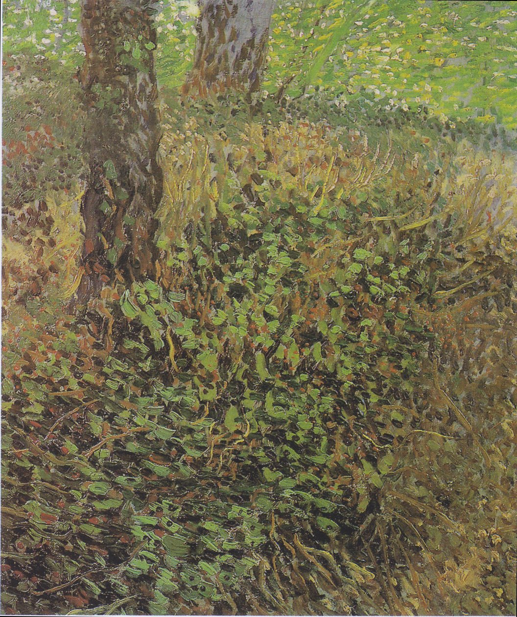vegetação rasteira de Vincent van Gogh