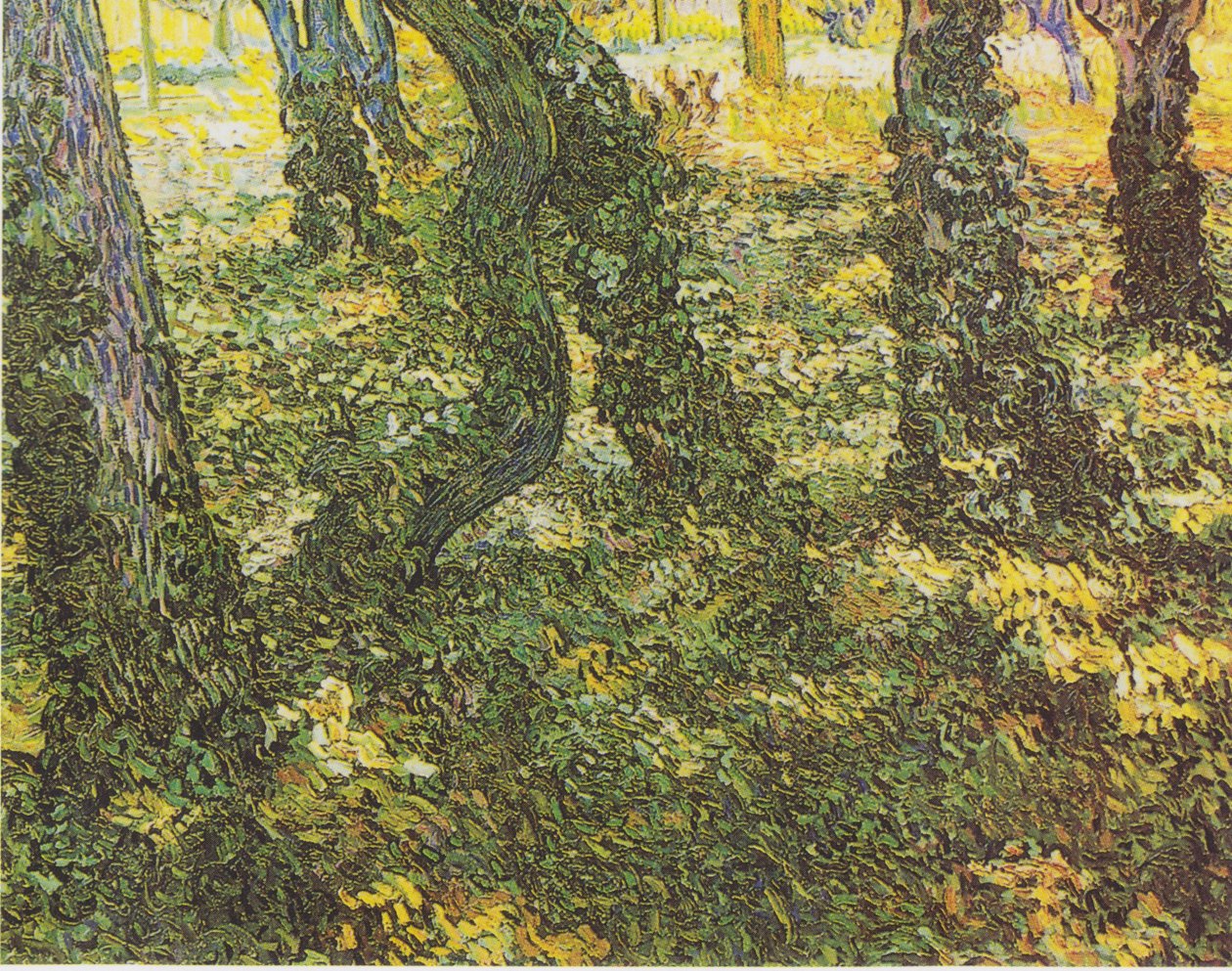 Vegetação rasteira com hera de Vincent van Gogh