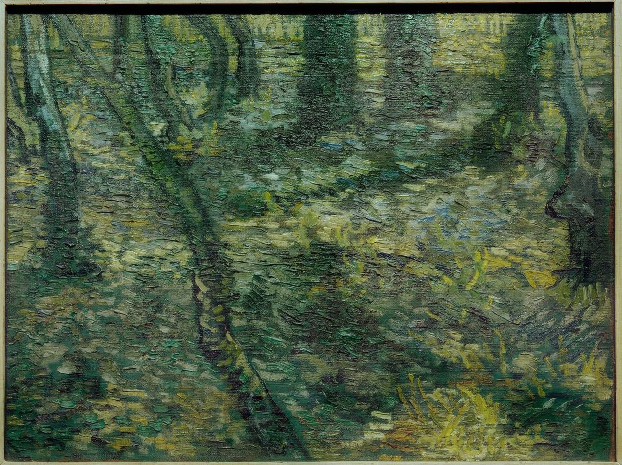 Vegetação rasteira com hera de Vincent van Gogh