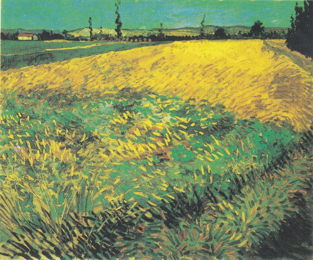 Campo trigo, com, colinas, de, a, Alpilles, em, a, fundo de Vincent van Gogh
