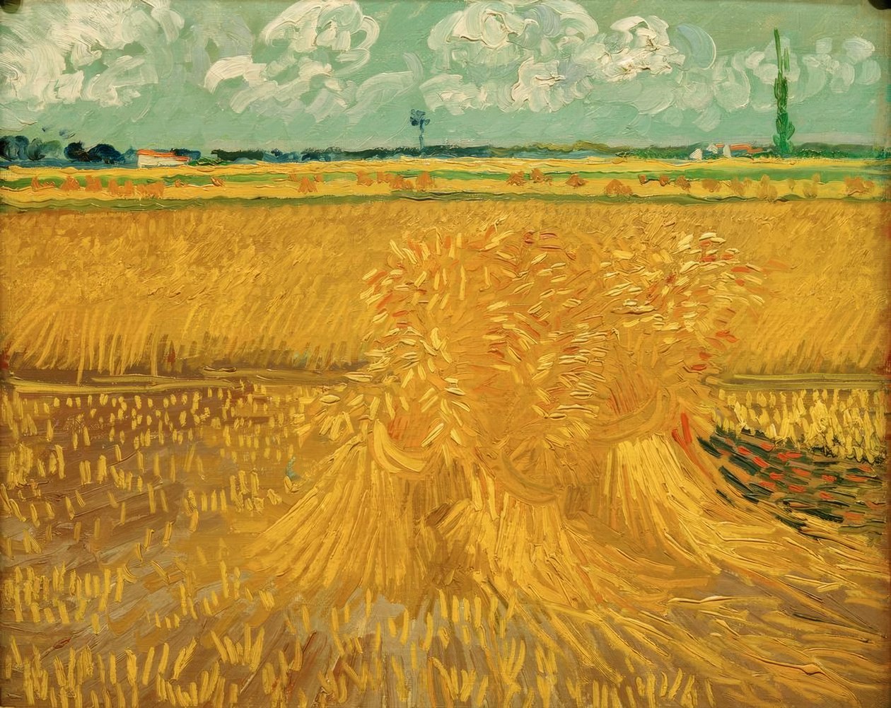 Campo de trigo com feixe de grãos de Vincent van Gogh