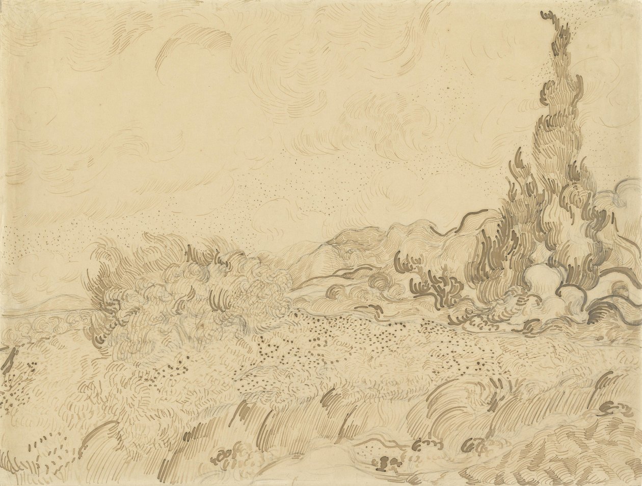 Campo trigo, com, cypresses2 de Vincent van Gogh