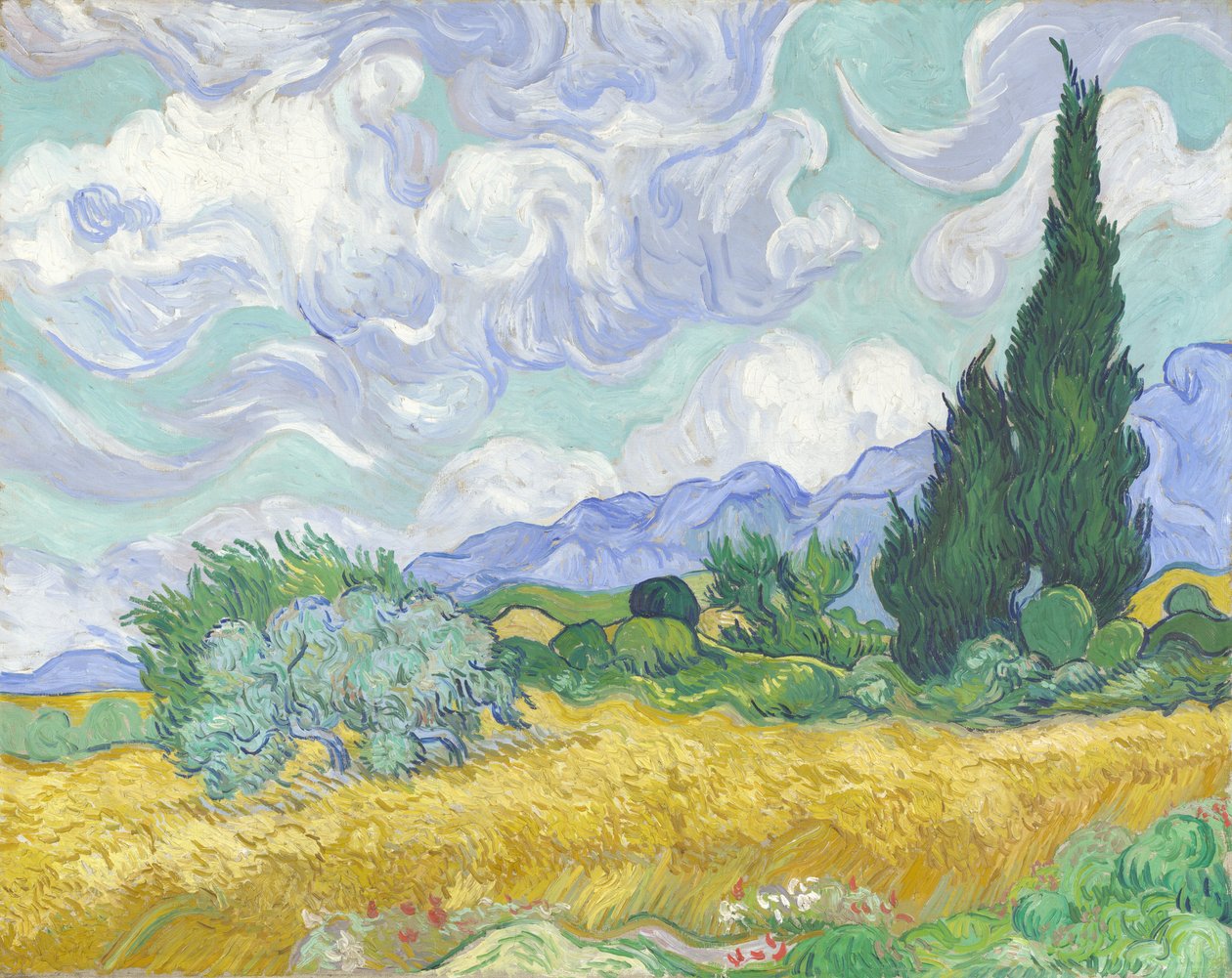 Campo trigo, com, ciprestes de Vincent van Gogh