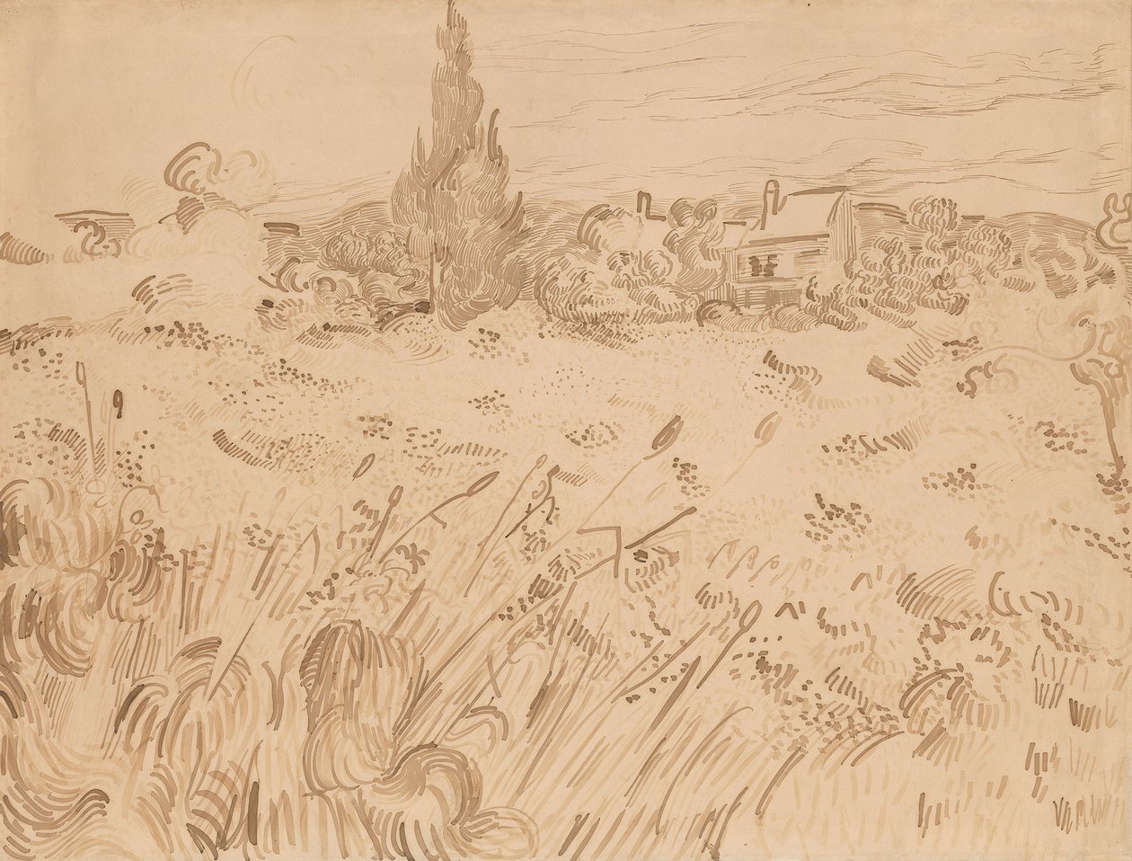 Campo trigo, saint-remy, de, provence de Vincent van Gogh