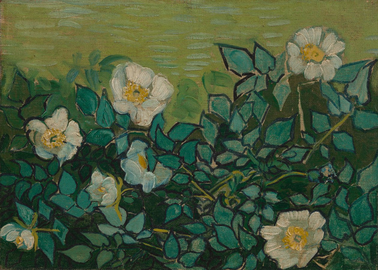 Rosas selvagens de Vincent van Gogh