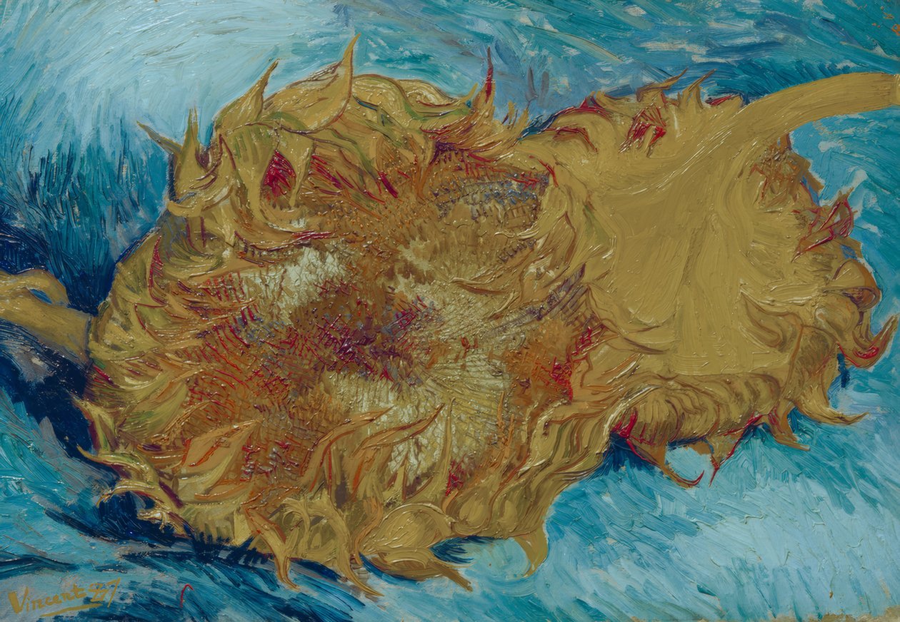 Dois girassóis cortados de Vincent van Gogh