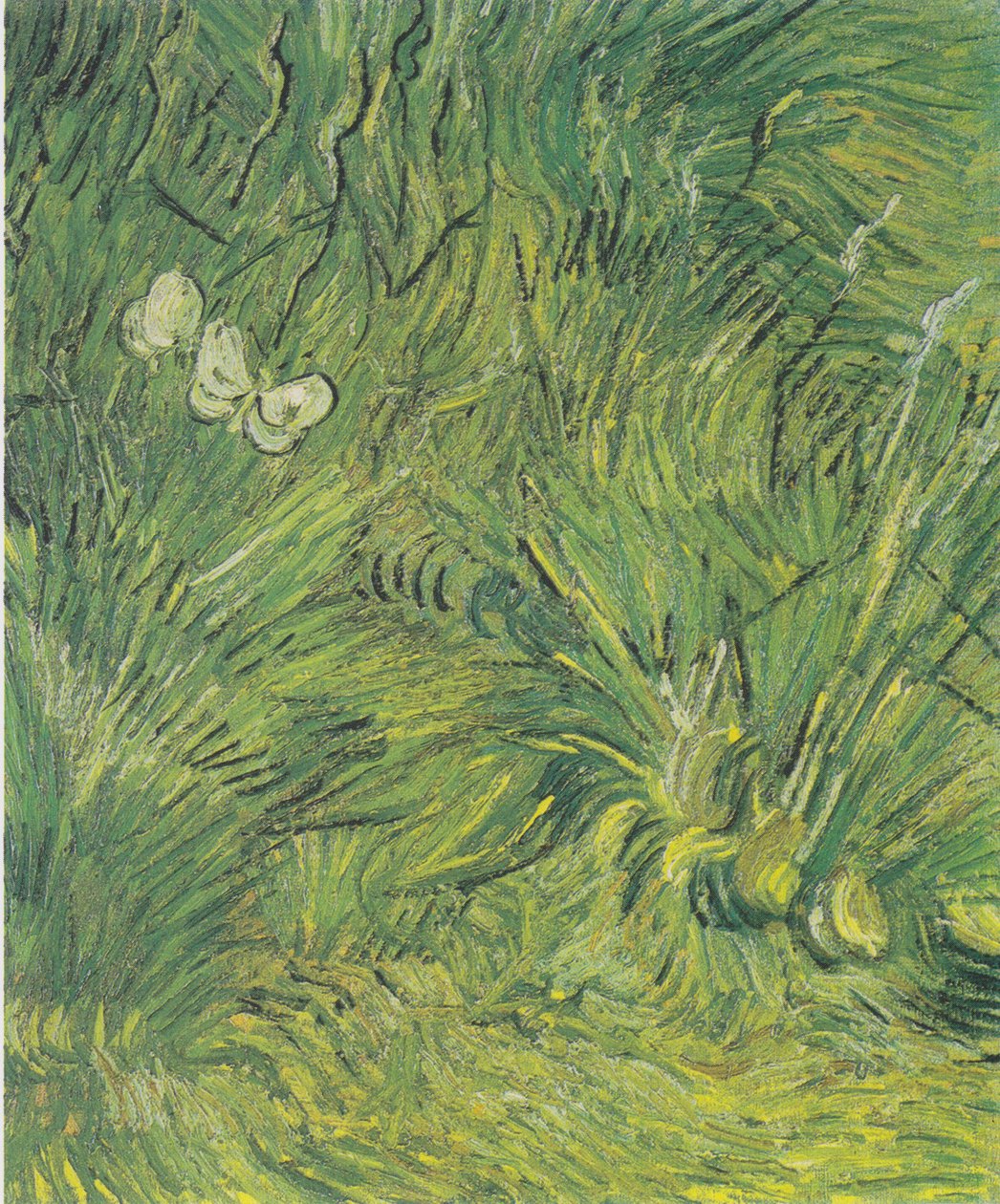 Duas borboletas brancas de Vincent van Gogh