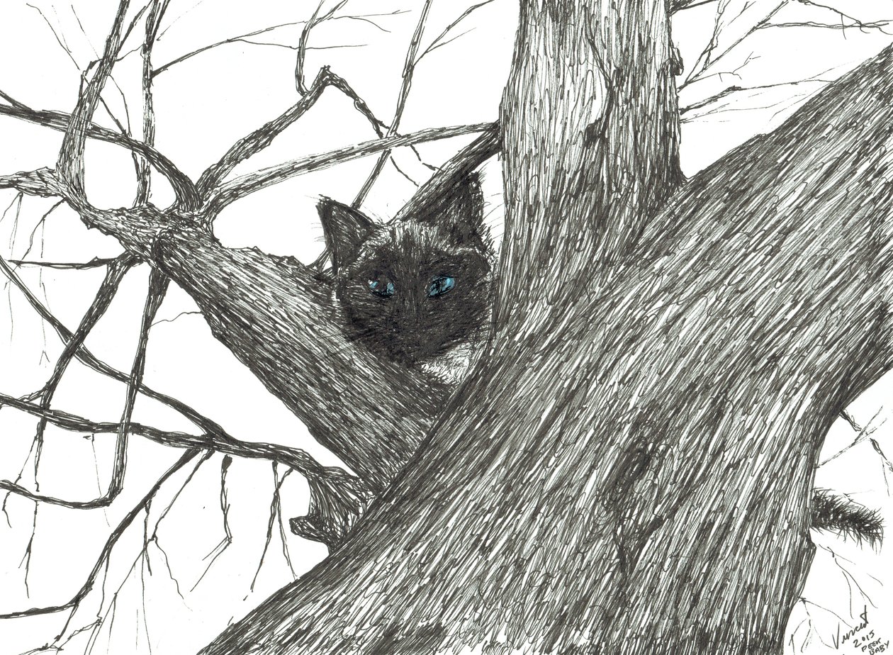 Macieira Baby, 2015, (tinta no papel) de Vincent Alexander Booth