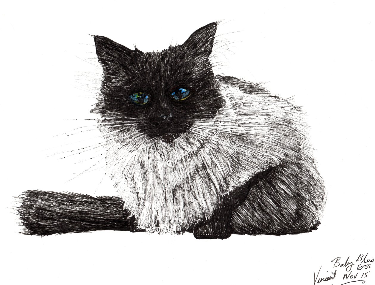 Olhos azuis de bebê, 2015, (tinta no papel) de Vincent Alexander Booth