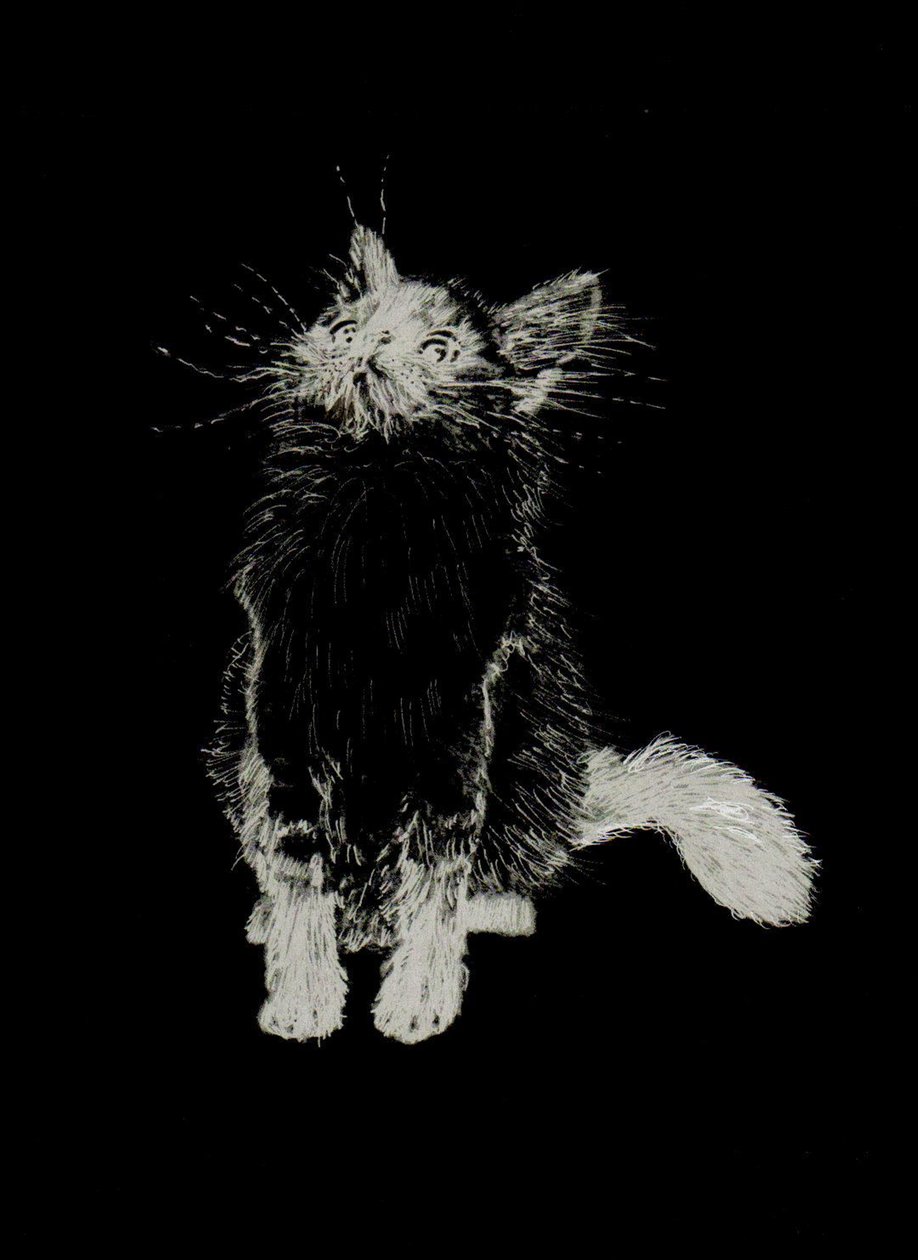 Bebe Le Bone, 2002 de Vincent Alexander Booth