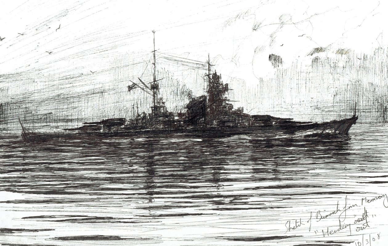 Bismarck sai de cabeça, 2008 de Vincent Alexander Booth