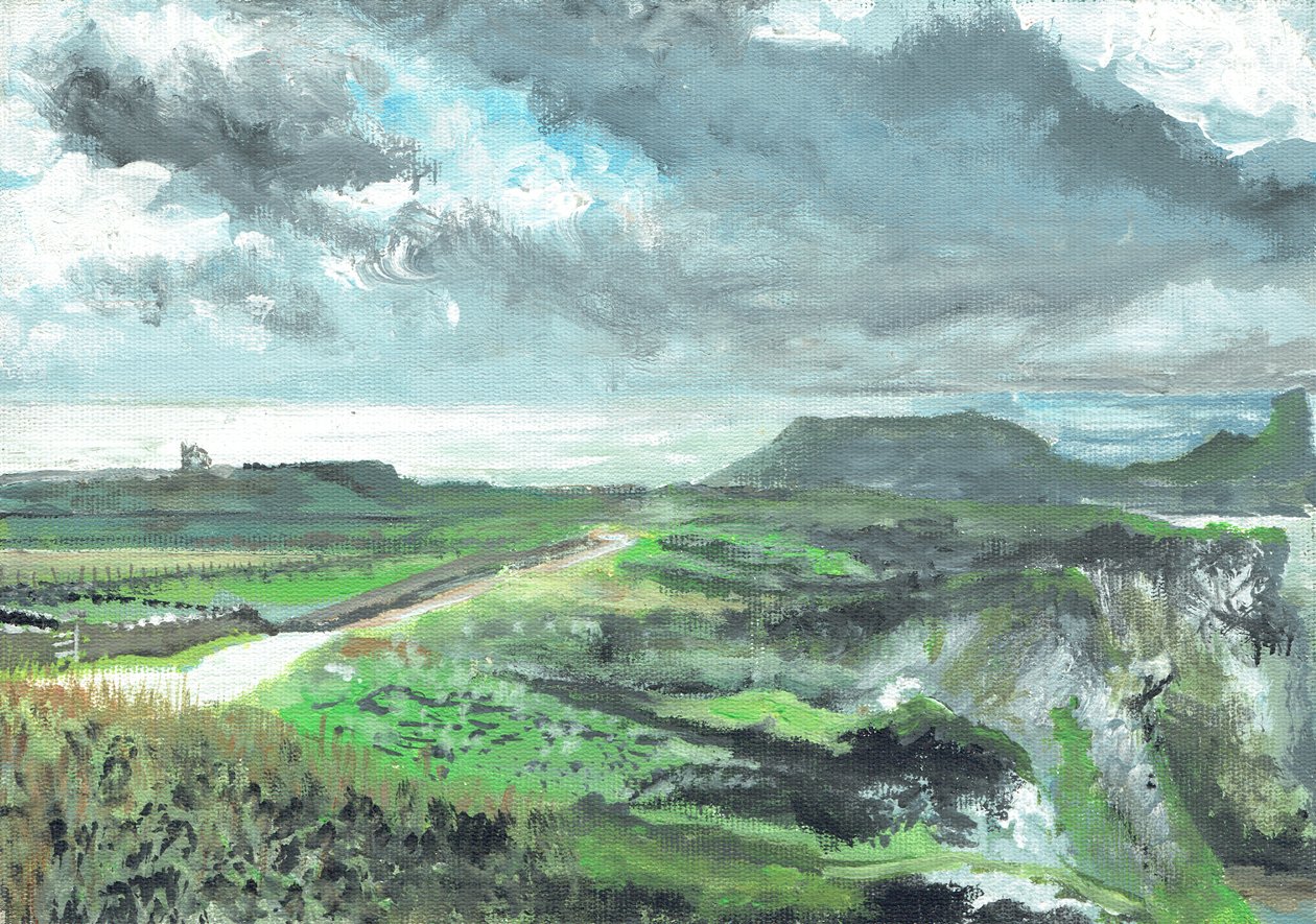Gower Point, 1991, (acrílico sobre tela) de Vincent Alexander Booth