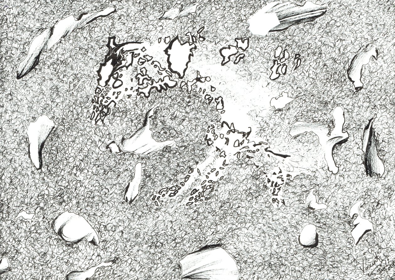 Aparição do Cavalo, 2017, (tinta no papel) de Vincent Alexander Booth