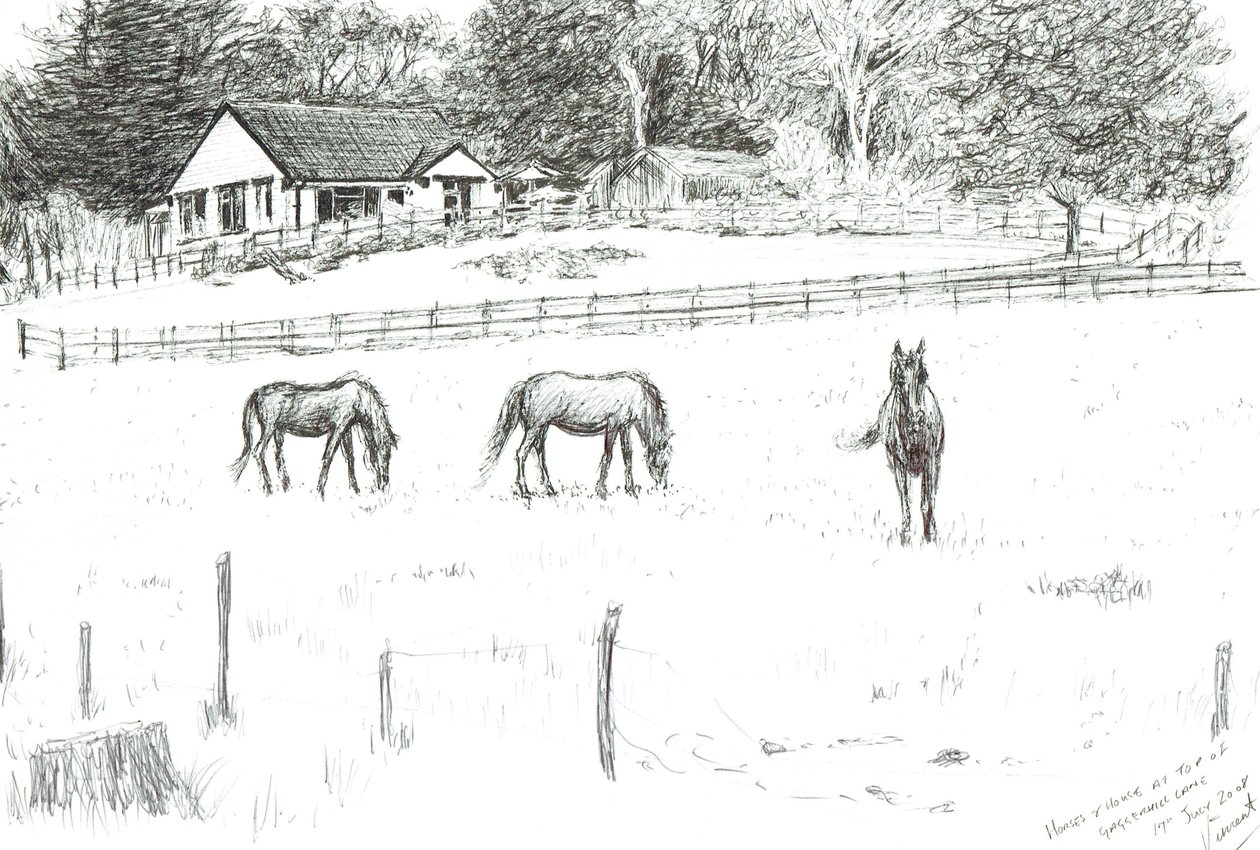 Cavalos no topo da pista, 2008 (tinta sobre papel) de Vincent Alexander Booth