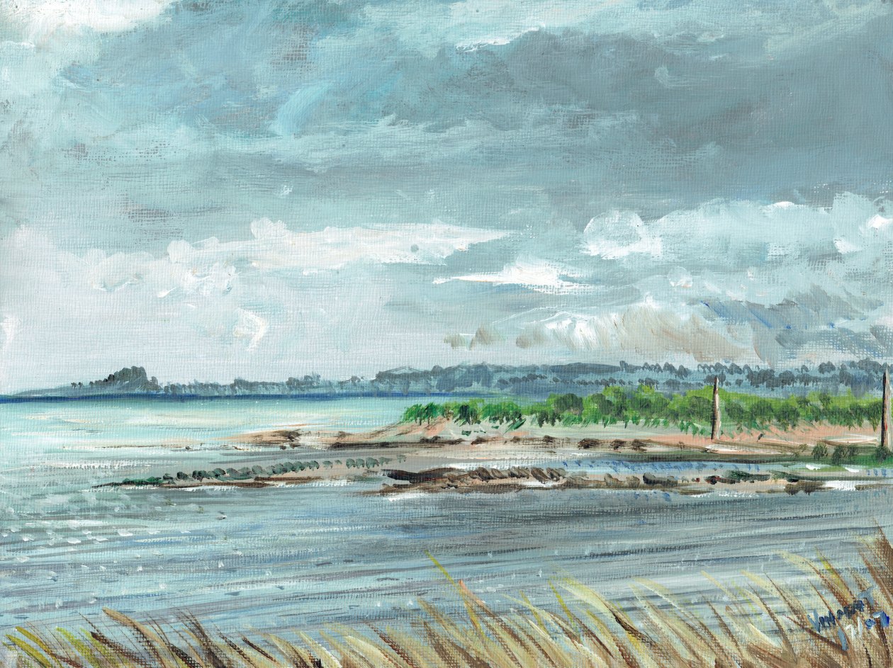 Iona Scotland, 2007, (acrílico sobre tela) de Vincent Alexander Booth