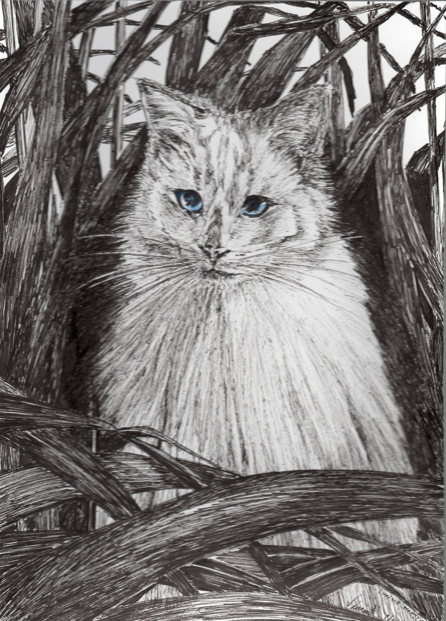 Selva Monty, 2015, (tinta no papel) de Vincent Alexander Booth