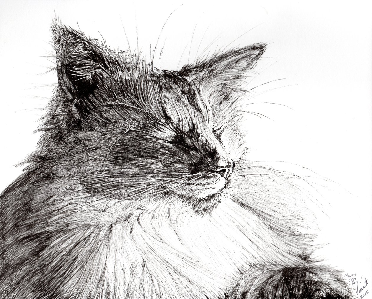 Monty menino acolhedor, 2015, (tinta no papel) de Vincent Alexander Booth