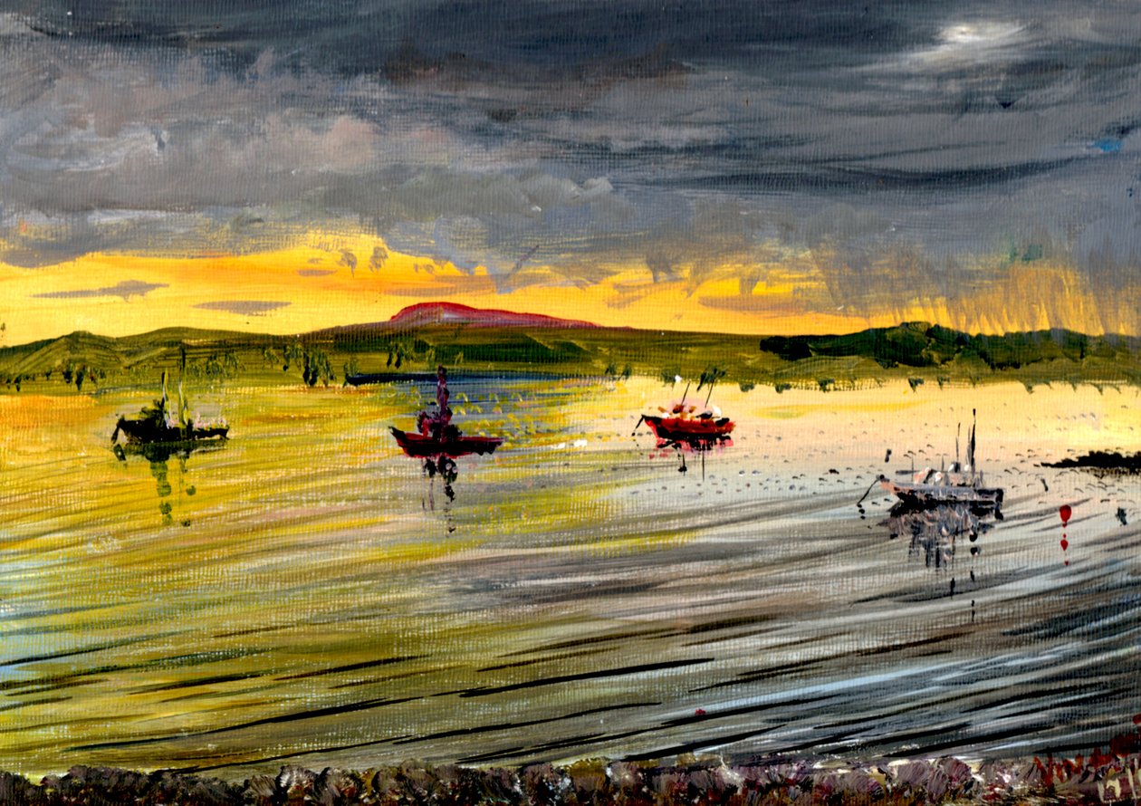 Na Ilha Santa ao pôr-do-sol, 2007 de Vincent Alexander Booth