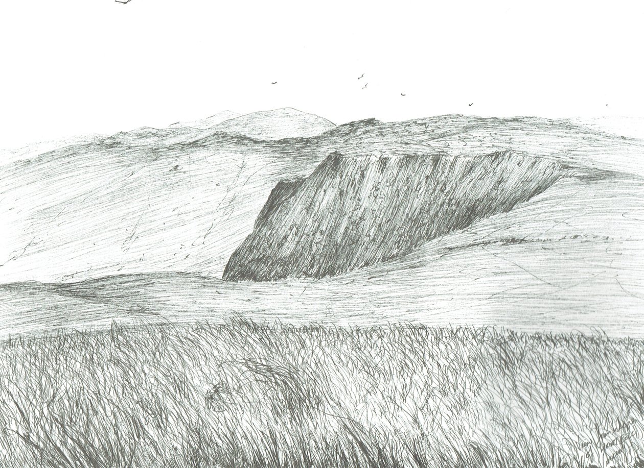 Encostas de Hartfell, 2003 de Vincent Alexander Booth