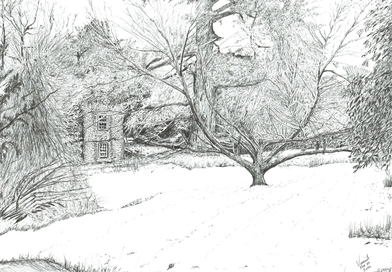 A árvore do lenço nos jardins de Monk Coniston, 2024 (tinta sobre papel) de Vincent Alexander Booth