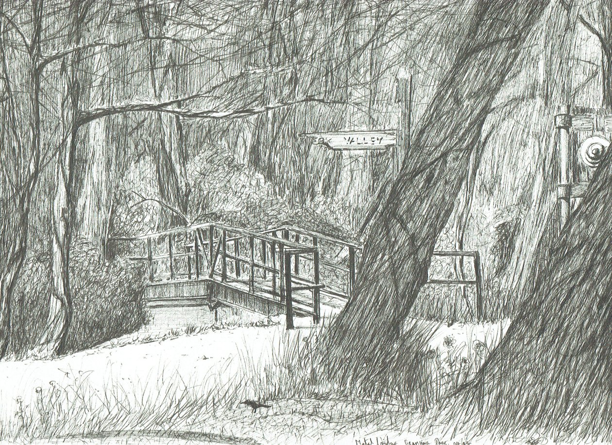 A velha ponte metálica, Parque Bramhall, 2004 de Vincent Alexander Booth