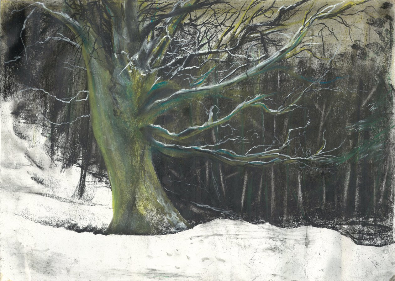 Árvore na neve de inverno na floresta de Osmotherley de Vincent Alexander Booth
