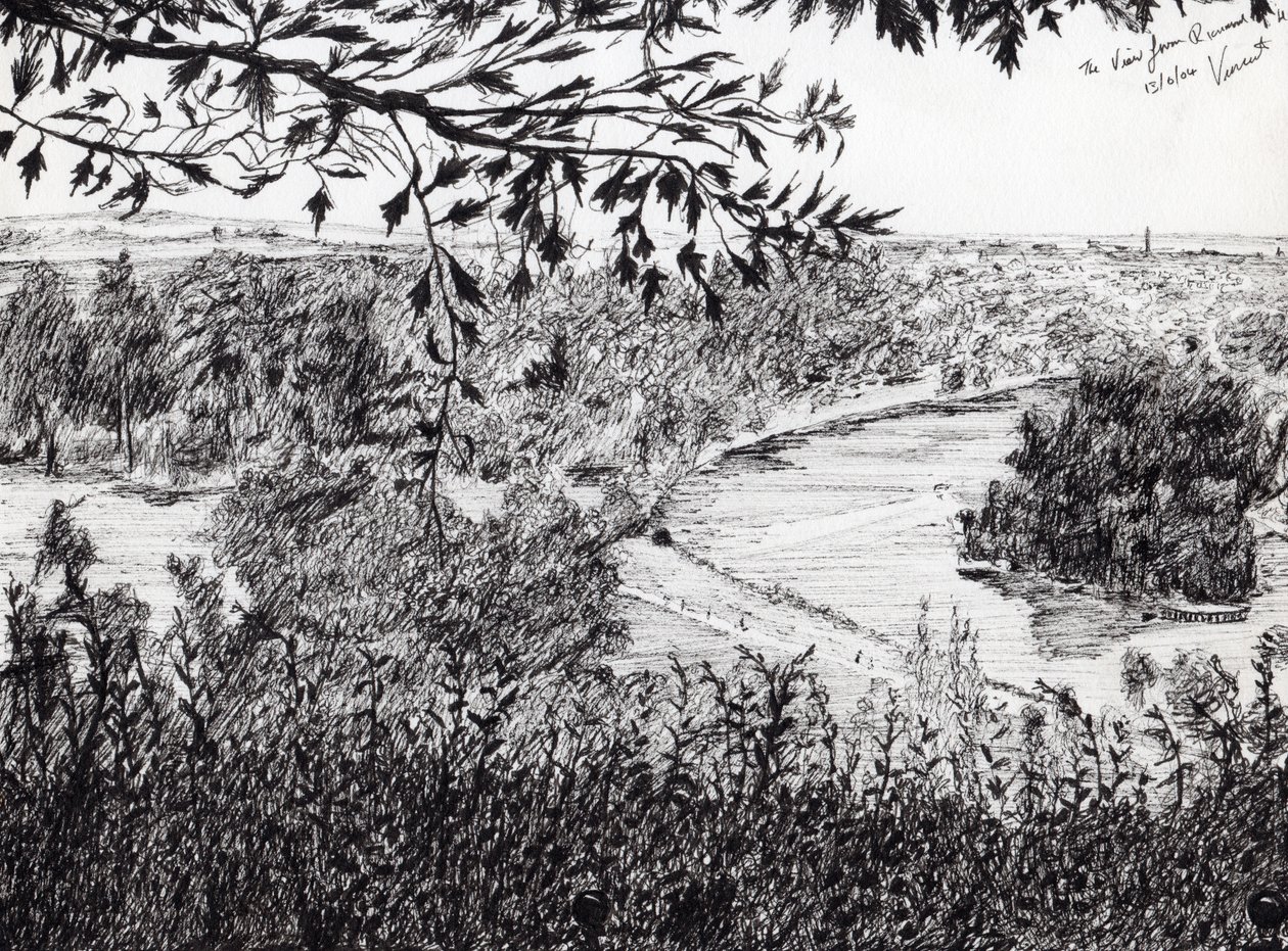 Vista de Richmond Hill London, 2004, (tinta no papel) de Vincent Alexander Booth