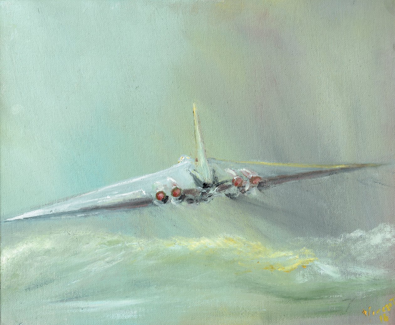 Trouxa Vulcan B1, 2016, (óleo sobre tela) de Vincent Alexander Booth