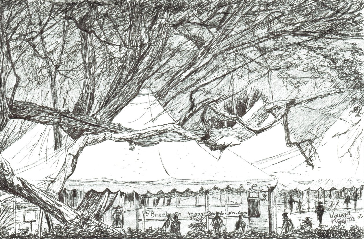 Tendas de casamento no Lago Nawesha no Quênia, 2003 de Vincent Alexander Booth