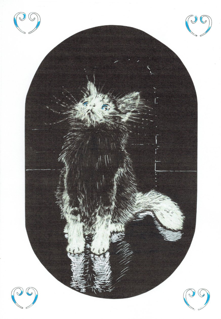 page1, O Castelo na Floresta de Findhorn, 2006, (tinta no papel) de Vincent Alexander Booth