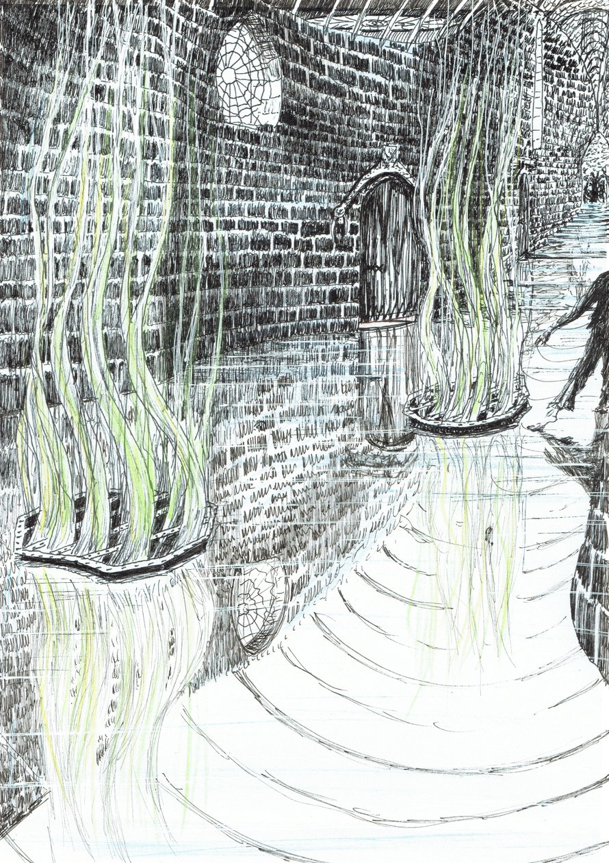 page29, O Castelo na Floresta de Findhorn, 2006, (tinta no papel) de Vincent Alexander Booth