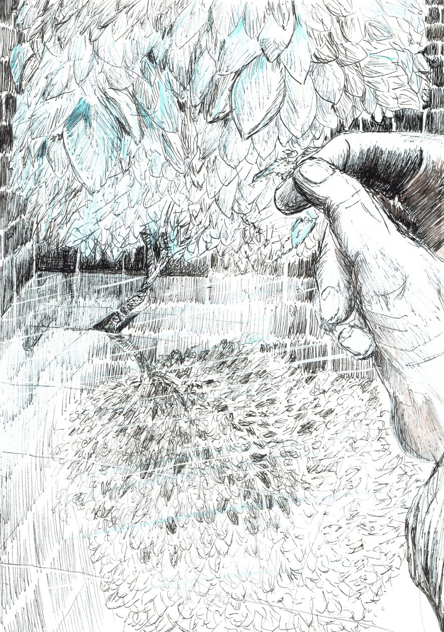 page43, O Castelo na Floresta de Findhorn, 2006, (tinta no papel) de Vincent Alexander Booth