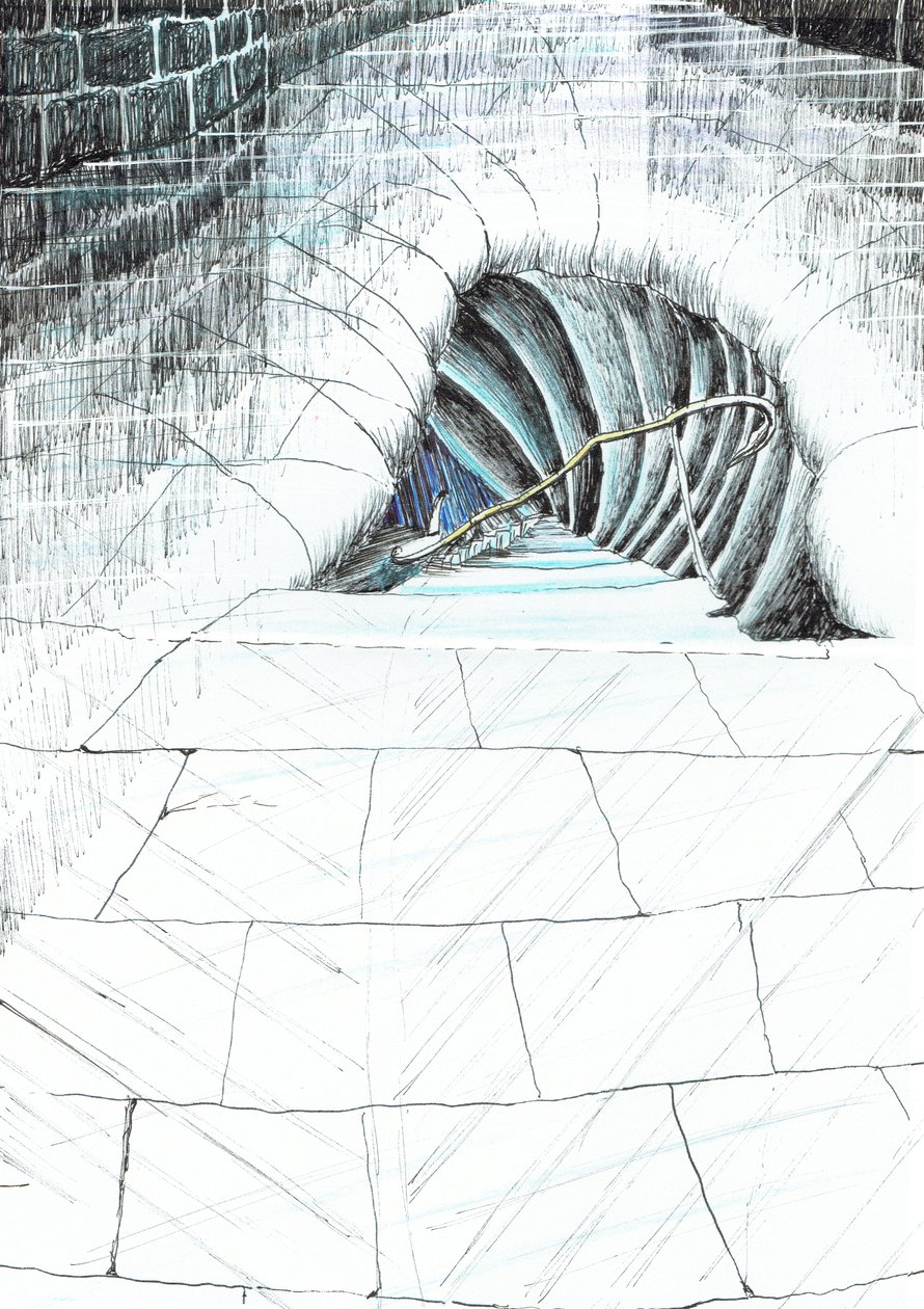 page45, O Castelo na Floresta de Findhorn, 2006, (tinta no papel) de Vincent Alexander Booth