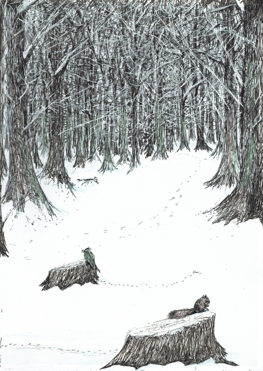 page5, O Castelo na Floresta de Findhorn, 2006, (tinta no papel) de Vincent Alexander Booth