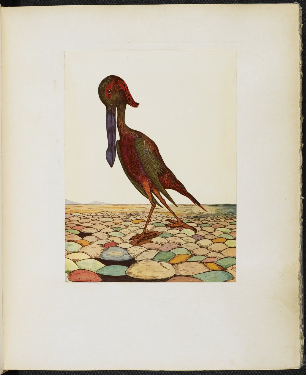 O Ork Blue-Billed, de 