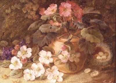Natureza Morta com Flor de Maçã, Primula e Ninho de Pássaro de Vincent Clare