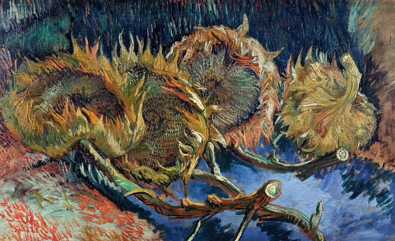 Quatro girassóis cortados, 1887. de Vincent van Gogh
