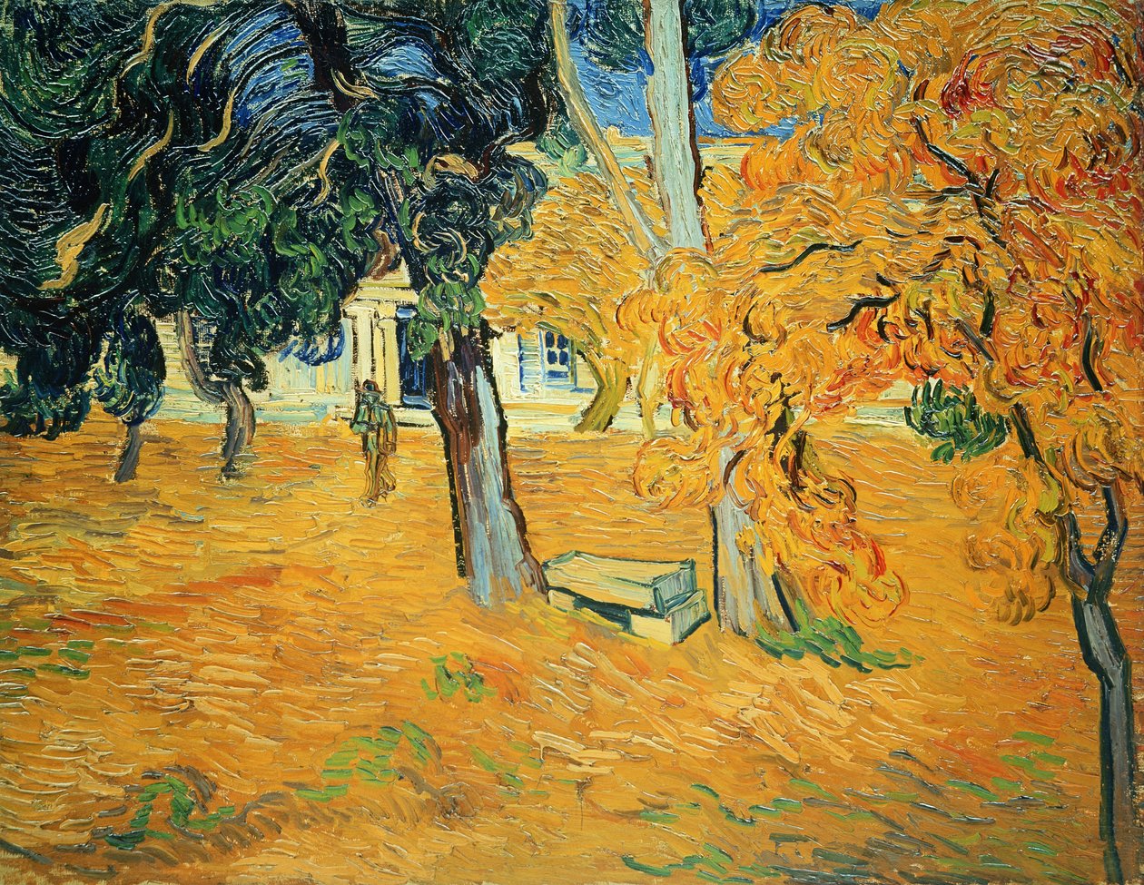 Jardim do Hospital de São Paulo em Saint-Rémy, 1889. de Vincent van Gogh