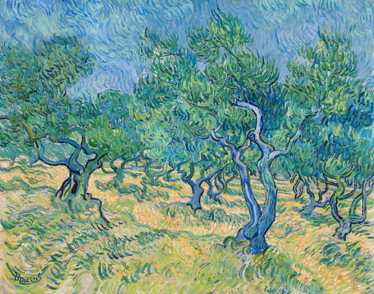 Olival, 1889. de Vincent van Gogh