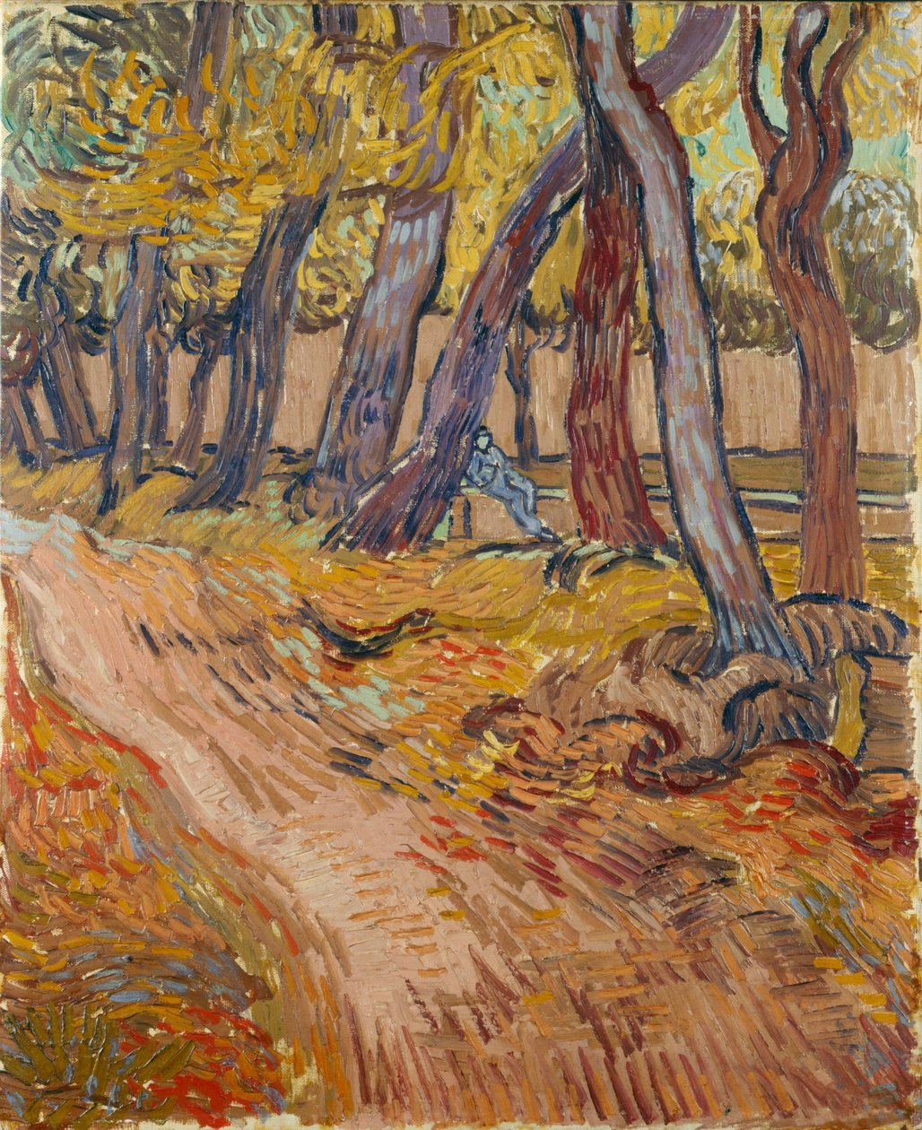 Caminho no jardim do asilo de Saint-Rémy, 1889. de Vincent van Gogh