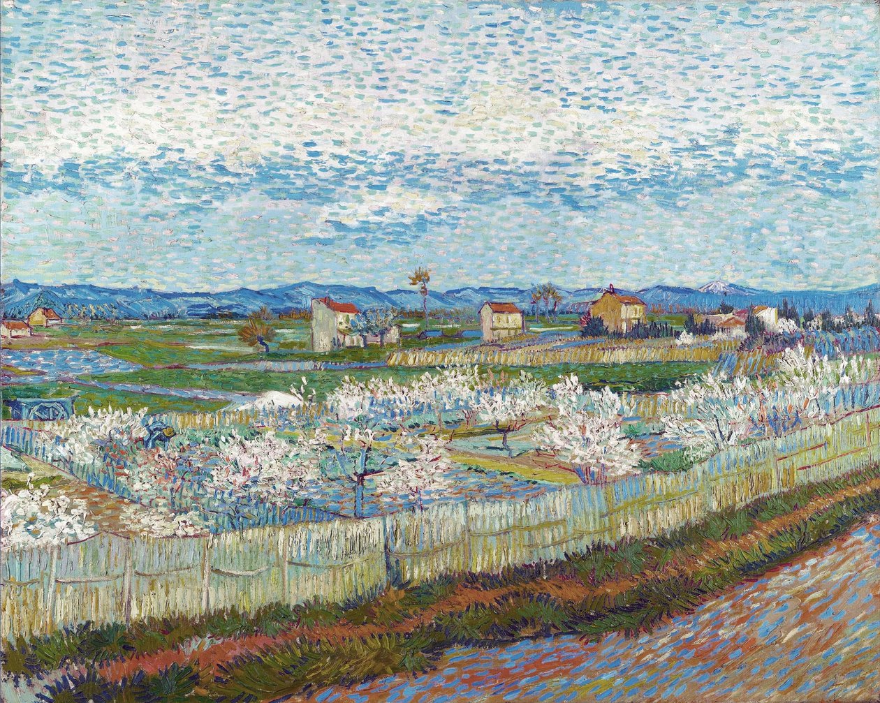 Pessegueiros em Flor, 1889. de Vincent van Gogh